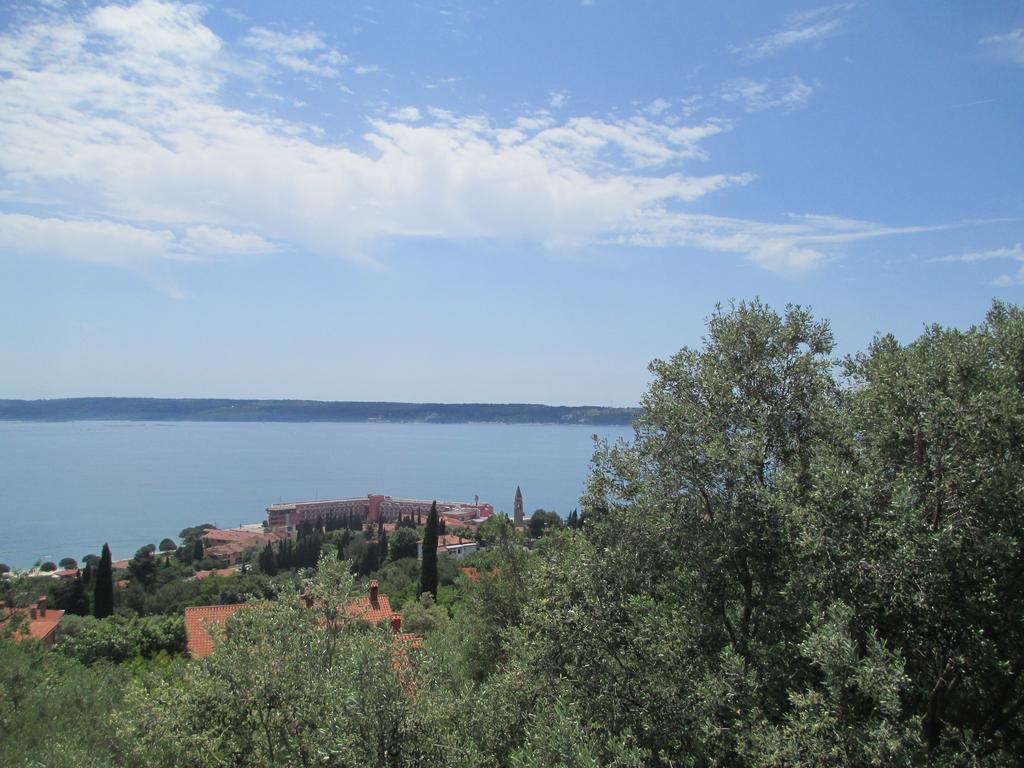 Apartmán Rubin Piran