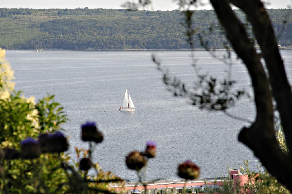 Apartment Rubin Piran
